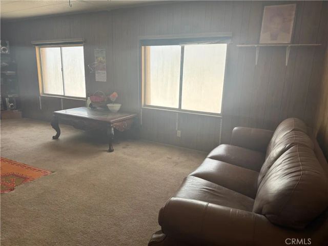 33033 Mountain View Road, Newberry Springs, CA 92365