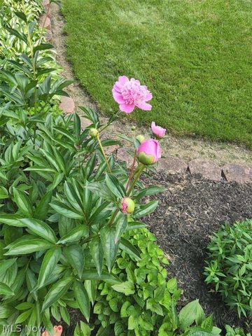 6360 Ramblewood Drive, Mentor, OH 44060