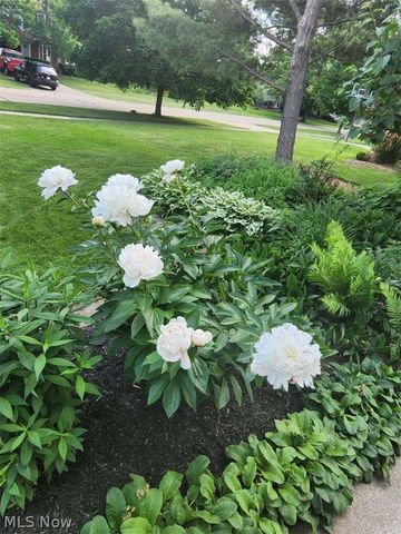 6360 Ramblewood Drive, Mentor, OH 44060