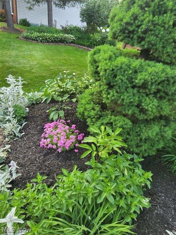 6360 Ramblewood Drive, Mentor, OH 44060