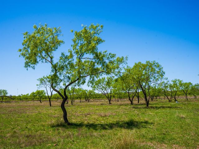 0 Springwood Ranch, Johnson City, TX 78636