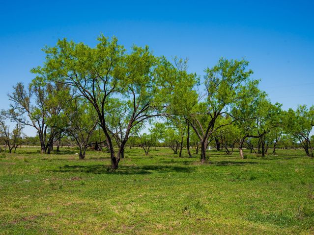 0 Springwood Ranch, Johnson City, TX 78636