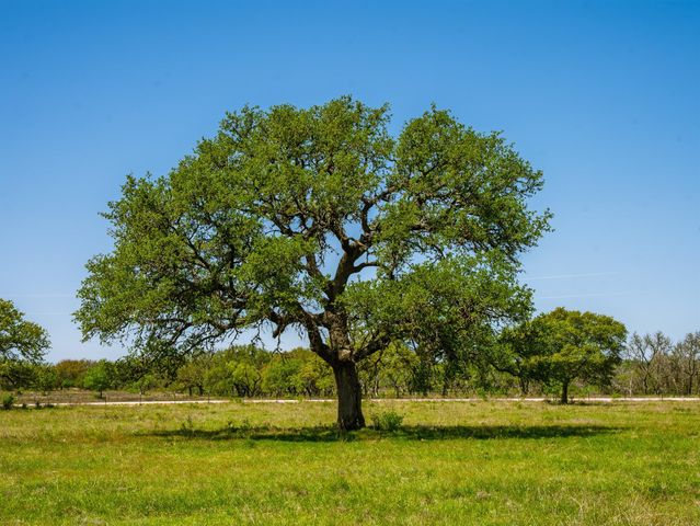 0 Springwood Ranch, Johnson City, TX 78636