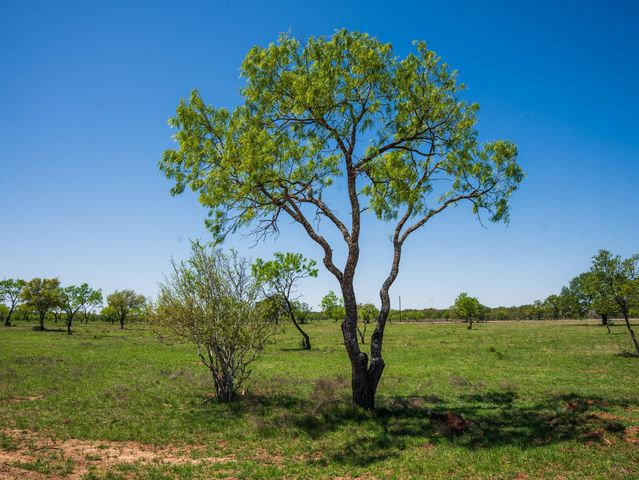 0 Springwood Ranch, Johnson City, TX 78636