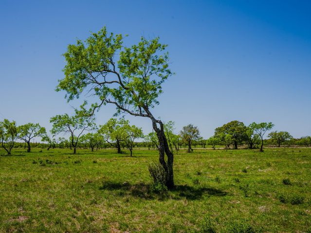 0 Springwood Ranch, Johnson City, TX 78636