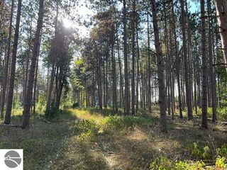 0 Samels Road, Williamsburg, MI 49690