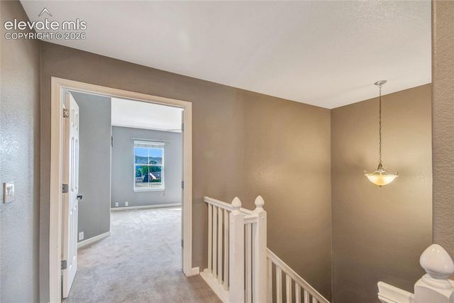 17136 Silent Forest Point, Monument, CO 80132