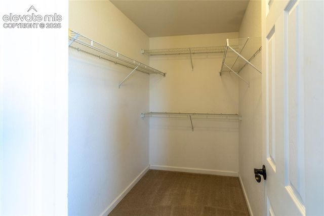 17136 Silent Forest Point, Monument, CO 80132