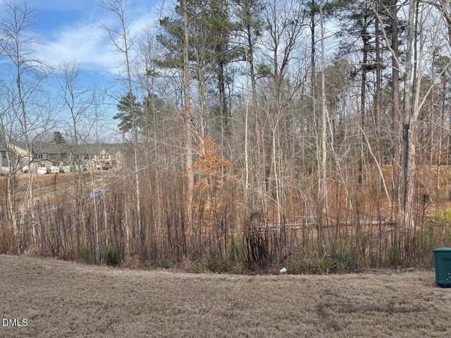 48 Hawkstone Drive, Clayton, NC 27527