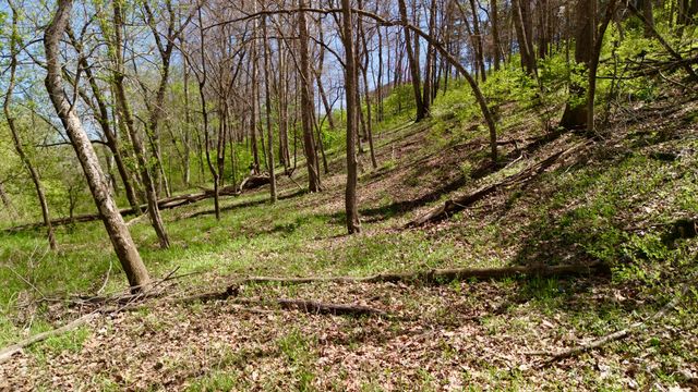 1307 TARA RD, Jefferson City, MO 65101