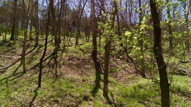 1307 TARA RD, Jefferson City, MO 65101