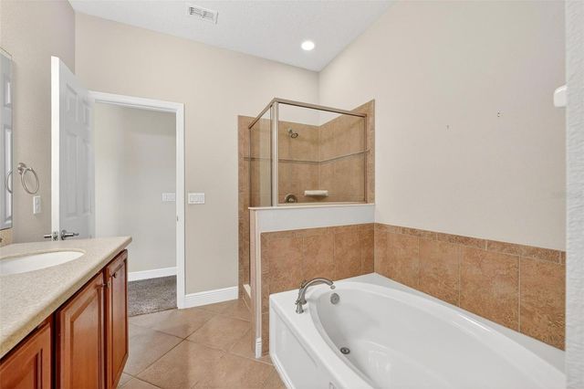 30224 CHEVAL STREET, Mount Dora, FL 32757