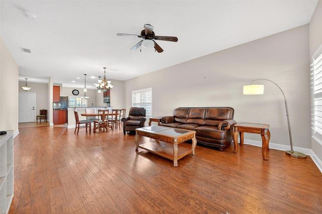 30224 CHEVAL STREET, Mount Dora, FL 32757