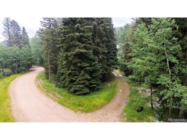 11173 S Barney Gulch Rd, Conifer, CO 80433