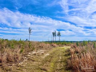 Lot 13-C Cotton Lake Rd, Molino, FL 32577