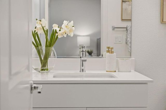 1065 Darwin Terrace 3, Sunnyvale, CA 94085