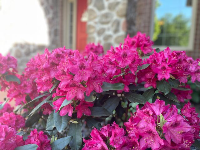 2414 E Academy, Ozark, MO 65721