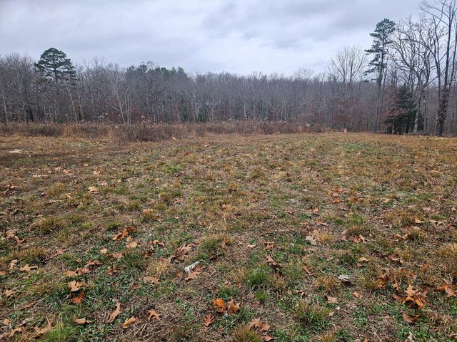 21371 Howell Road, Mountain View, MO 65548