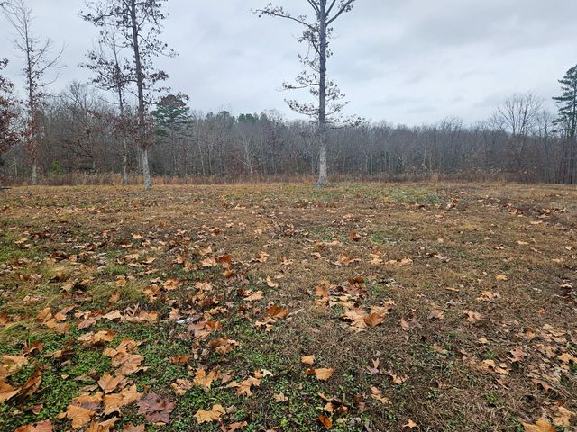 21371 Howell Road, Mountain View, MO 65548