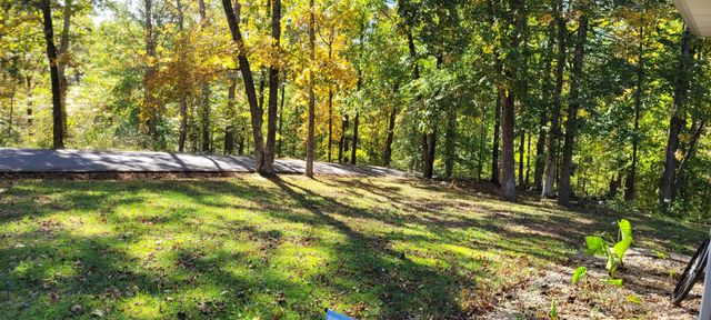 408 Sandy Rd, Dover, TN 37058
