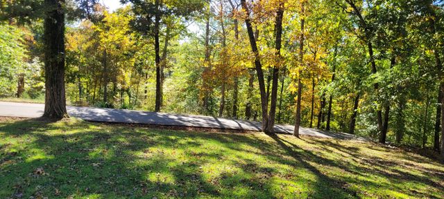 408 Sandy Rd, Dover, TN 37058