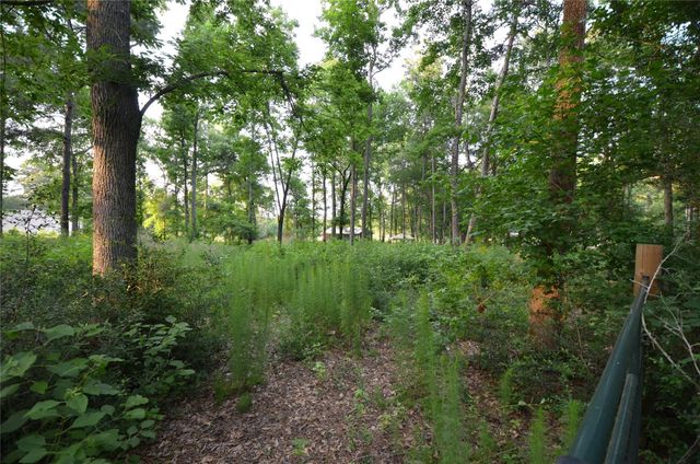 28102 Nichols Sawmill Road, Magnolia, TX 77355