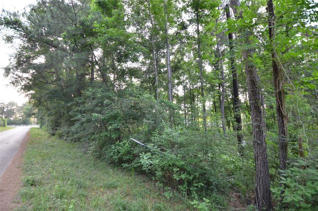 28102 Nichols Sawmill Road, Magnolia, TX 77355