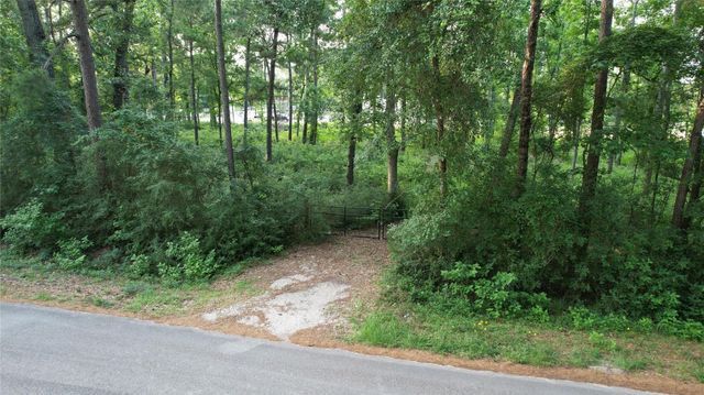 28102 Nichols Sawmill Road, Magnolia, TX 77355