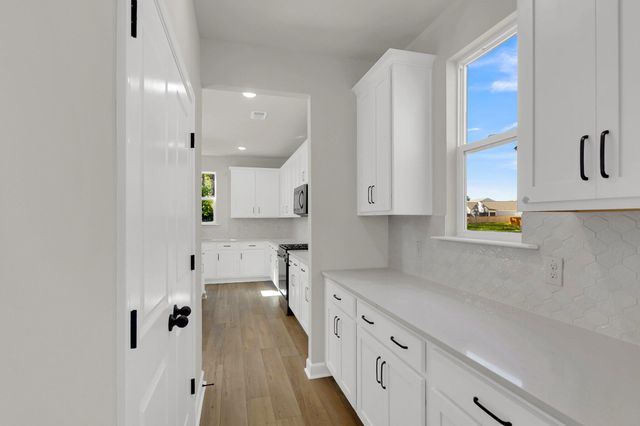 5250 Cottage Landing Drive, Summerville, SC 29485