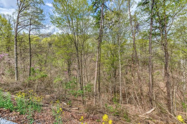 635 Harbor Springs Road, Kingsport, TN 37664