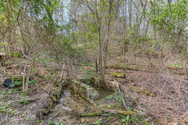 635 Harbor Springs Road, Kingsport, TN 37664