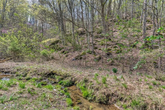 635 Harbor Springs Road, Kingsport, TN 37664