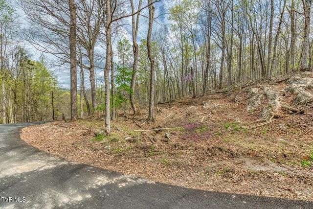 635 Harbor Springs Road, Kingsport, TN 37664