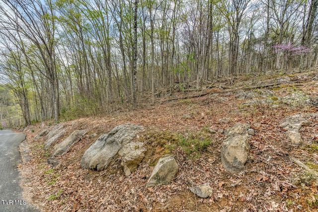 635 Harbor Springs Road, Kingsport, TN 37664