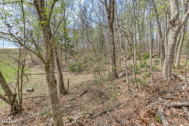 635 Harbor Springs Road, Kingsport, TN 37664