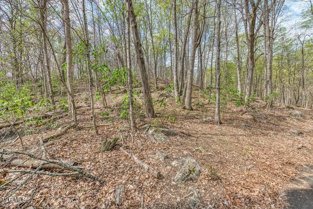 635 Harbor Springs Road, Kingsport, TN 37664