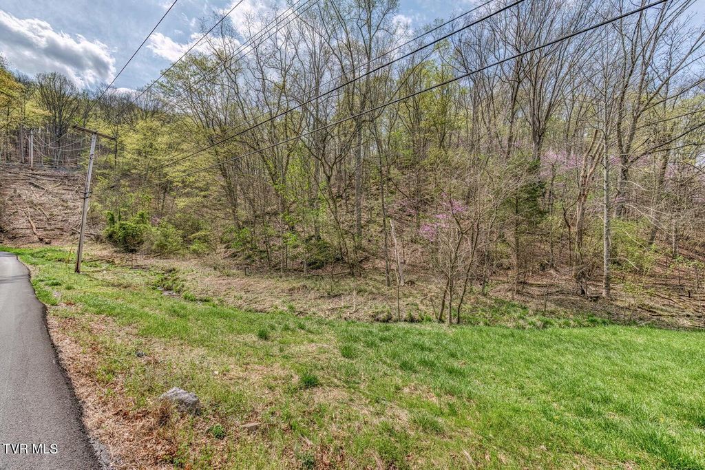 635 Harbor Springs Road, Kingsport, TN 37664