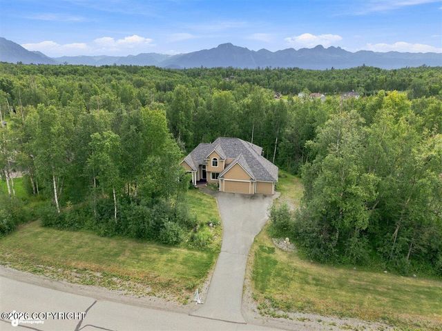8270 E Splendid View Drive, Palmer, AK 99645