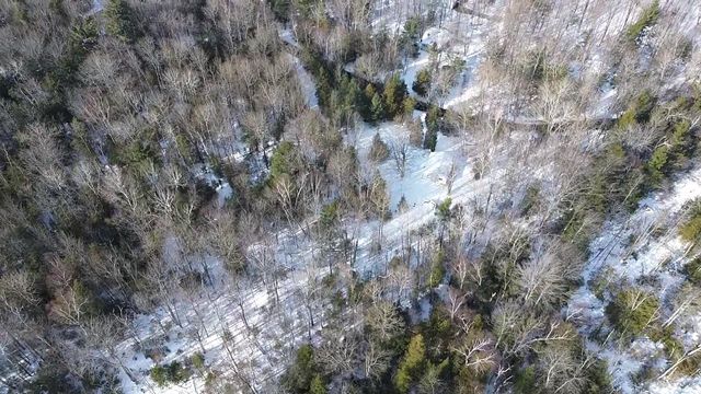 12851 Manitou Trail, Kewadin, MI 49648