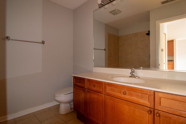 1900 S State Street 203, Chicago, IL 60616