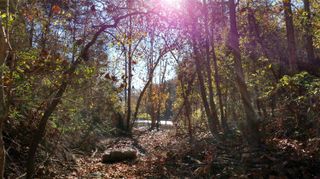 000 Buttermilk Spring Road, Galena, MO 65656