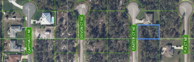 113 EASTER Court NE, Lake Placid, FL 33852