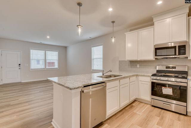 511 Chrome Horse Lane Lane, Lexington, SC 29073