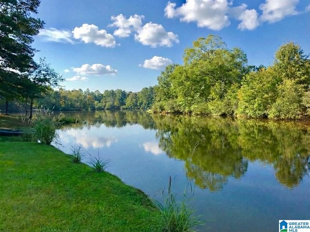 78 LAKE KATHRYN DRIVE, Chelsea, AL 35043