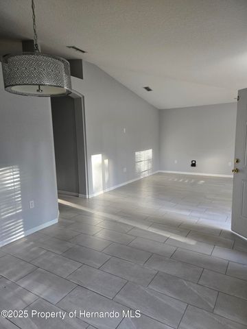 1330 Clovis Lane, Spring Hill, FL 34608