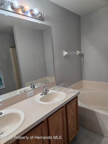 1330 Clovis Lane, Spring Hill, FL 34608