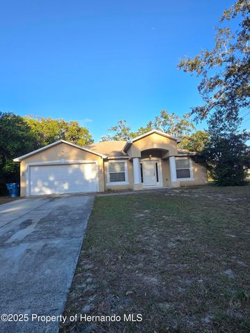 1330 Clovis Lane, Spring Hill, FL 34608