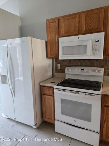 1330 Clovis Lane, Spring Hill, FL 34608