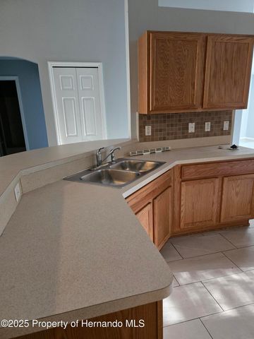 1330 Clovis Lane, Spring Hill, FL 34608