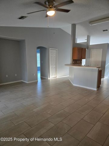 1330 Clovis Lane, Spring Hill, FL 34608